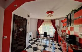 Sudio, 35 mp, pet friendly zona Dambu Rotund