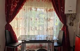 Sudio, 35 mp, pet friendly zona Dambu Rotund