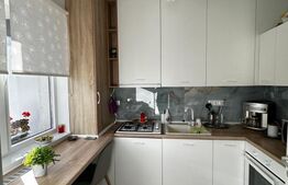 Apartament 1 camera decomandat, 36 mp utili, mobilat utilat, zona Terra 