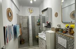 Apartament 1 camera decomandat, 36 mp utili, mobilat utilat, zona Terra 