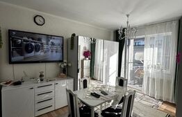 Apartament 1 camera decomandat, 36 mp utili, mobilat utilat, zona Terra 