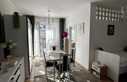 Apartament 1 camera decomandat, 36 mp utili, mobilat utilat, zona Terra 