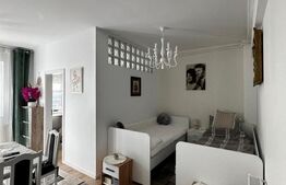 Apartament 1 camera decomandat, 36 mp utili, mobilat utilat, zona Terra 