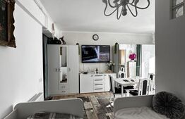 Apartament 1 camera decomandat, 36 mp utili, mobilat utilat, zona Terra 