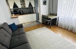 Apartament 2 camere 42 mp, etajul 1 in zona Bucium Manastur!