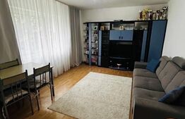 Apartament 2 camere 42 mp, etajul 1 in zona Bucium Manastur!