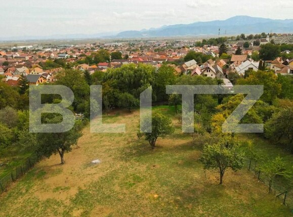 Teren de vânzare Codlea - 160353TV | BLITZ Brașov | Poza2