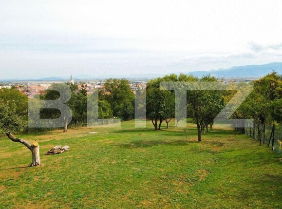 Teren de vânzare Codlea - 160353TV | BLITZ Brașov | Poza1