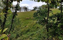 Casa de vacanta, 4 camere, teren 18000mp