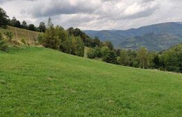 Casa de vacanta, 4 camere, teren 18000mp