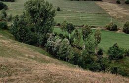 Casa de vacanta, 4 camere, teren 18000mp