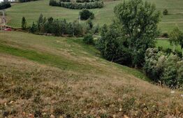 Casa de vacanta, 4 camere, teren 18000mp