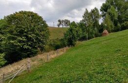 Casa de vacanta, 4 camere, teren 18000mp