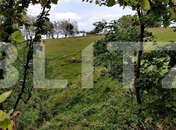 Casa de vânzare 4 camere Poiana Marului - 160361CV | BLITZ Brașov | Poza3