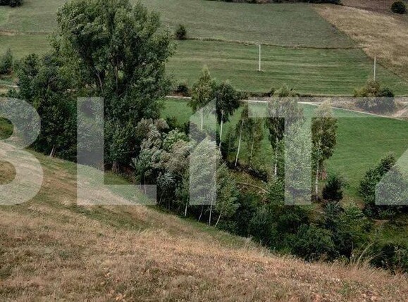 Casa de vânzare 4 camere Poiana Marului - 160361CV | BLITZ Brașov | Poza6