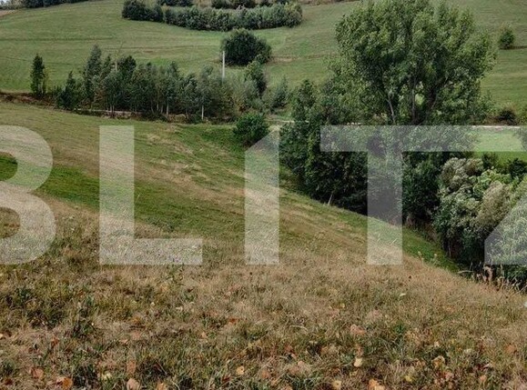 Casa de vânzare 4 camere Poiana Marului - 160361CV | BLITZ Brașov | Poza7