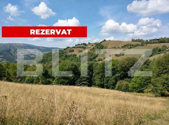 Casa de vânzare 4 camere Poiana Marului - 160361CV | BLITZ Brașov | Poza1