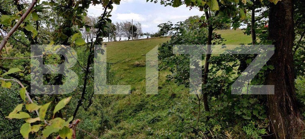 Casa de vânzare 4 camere Poiana Marului - 160361CV | BLITZ Brașov | Poza3