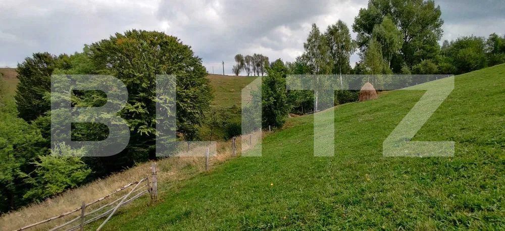 Casa de vânzare 4 camere Poiana Marului - 160361CV | BLITZ Brașov | Poza8