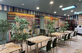 Restaurant cu terasa mobilat, zona centrala