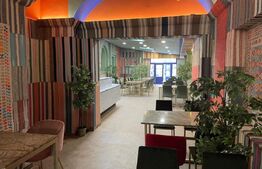 Restaurant cu terasa mobilat, zona centrala