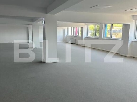 Spațiu industrial de vânzare Iris - 160382SVI | BLITZ Cluj-Napoca | Poza24