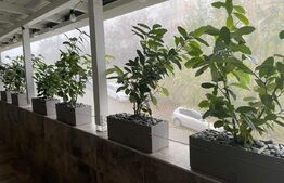 Apartament Exclusivist, 90mp, terasa 30mp in Europa