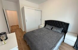 Apartament 2 camere, mobilat, orientare estica, zona Fabricii