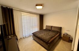 Duplex exclusivist, zona privata in Dezmir