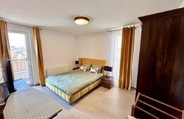 Duplex exclusivist, zona privata in Dezmir