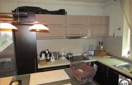 Apartament cochet 3 camere, 63 mp, TERASA de 17 mp si GRADINA! Zona Somesului!