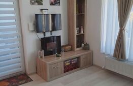 Casa extrem de ingrijita Sanpetru