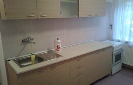 Apartament 2 camere, 60 mp, mobilat modern, zona strazii Gheorghe Lazar