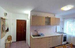 Apartament 2 camere, 60 mp, mobilat modern, zona strazii Gheorghe Lazar