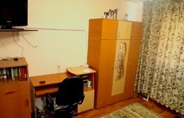 Camera de camin, 10 mp, zona Astra