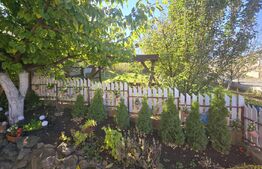 Casa individuala 240mp, 6 camere, teren ~600mp, cu panorama superba, in Dezmir