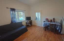 Casă spațioasă cu priveliște către Piatra Craiului, în Zărnești