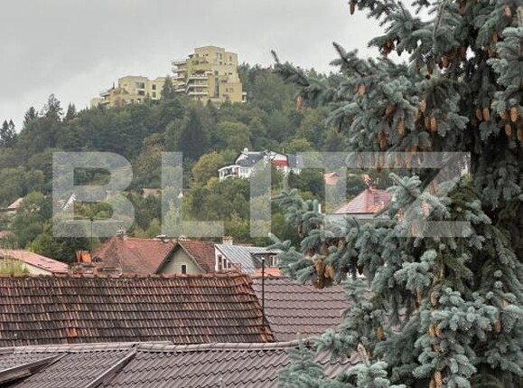 Casa de vânzare 8 camere Central - 160566CV | BLITZ Brașov | Poza7
