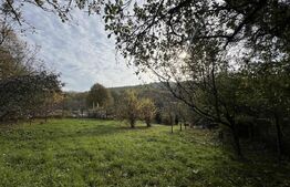 Teren Intravilan | P + 1 ( 1434 mp ) | Feleacu, Cluj