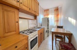 Garsoniera spatioasa, 30 mp, pet friendly, zona Piata Cipariu