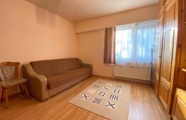 Garsoniera spatioasa, 30 mp, pet friendly, zona Piata Cipariu