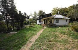 Casa 85 mp, teren 978 mp, zona taietura turcului