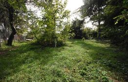 Casa 85 mp, teren 978 mp, zona taietura turcului