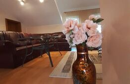 Vila - 6 camere in Predeal -  Brasov