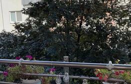 Apartament de 2 camere cu balcon de închiriat