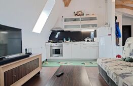 Apartament 2 camere  63mp in bloc tip Vila , Dambu Rotund