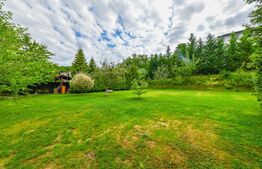 Casa individuala, 170mp, teren 1320mp, panorama superba,  zona Faget