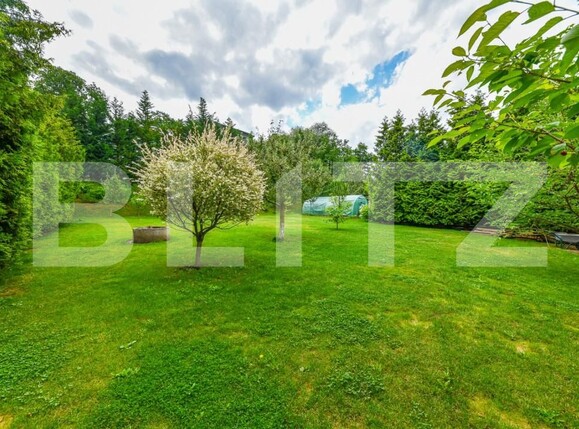 Casa de vânzare 5 camere Făget - 160763CV | BLITZ Cluj-Napoca | Poza21