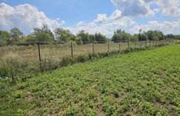 Teren Intravilan in Halchiu 3 parcele 2600mp 1840mp 1000mp 