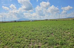 Teren Intravilan in Halchiu 3 parcele 2600mp 1840mp 1000mp 